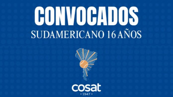 Banner Web Comida de mascotas azul (2)